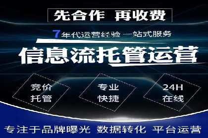 SEM竞价实战：成功案例解析